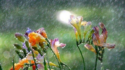 Дожди и грозы ожидаются на большей части Казахстана 2 мая