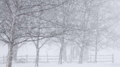 Прогноз погоды на 8 января: на большей части территории Казахстана пройдёт снег