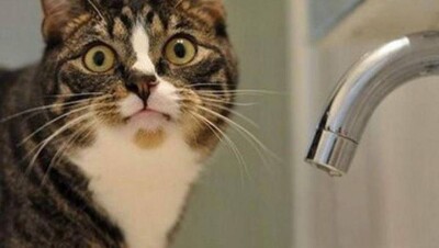 В центре Алматы четыре дня не будет горячей воды