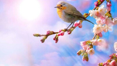 Прогноз погоды на 19 марта: на большей части территории Казахстана осадков не ожидается 