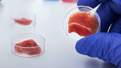 В США гарантировали безопасность мяса из пробирки