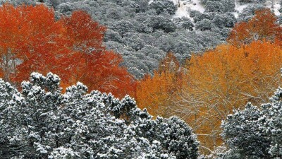 Штормовое предупреждение в шести областях страны объявили синоптики на 18 октября