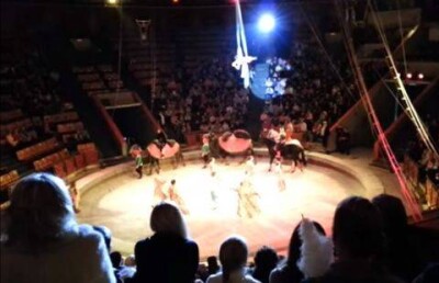 Падение из-под купола цирка сняли зрители представления в Кирове