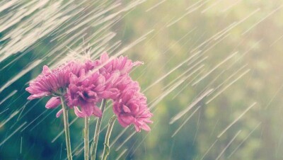 Прогноз погоды на 24 августа: на юго-западе Казахстана пройдут сильные дожди