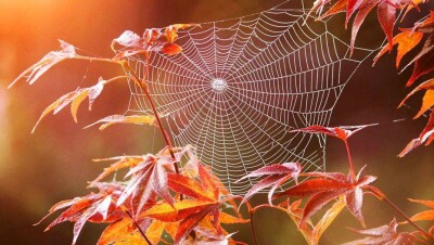 Тёплая и сухая погода ожидается на большей части Казахстана 1 октября