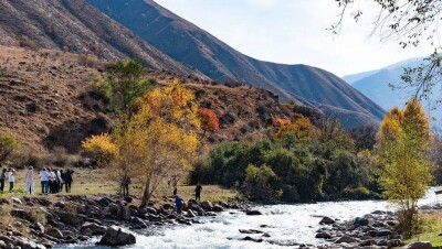 В Алматы впервые прошёл фестиваль "Золото урюка"