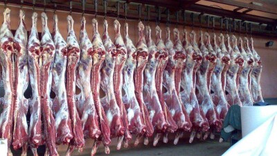 Китайская компания инвестирует 47 млн долларов в некогда проблемный мясокомбинат в ЗКО