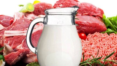 Ярмарка к Наурызу разочаровала шымкентцев