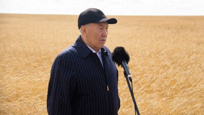 Высокий урожай аграриев Назарбаев назвал ценным даром к 25-летию независимости