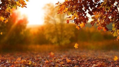 Прогноз погоды на 9 октября: днём будет тепло во всех регионах Казахстана