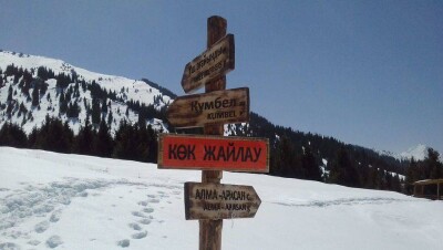В медвежьем углу. Специальный репортаж Informburo.kz из Кок-Жайляу