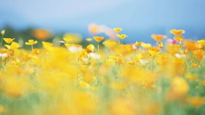 Прогноз погоды на 20 июня: на юге и западе страны ожидается сильная жара