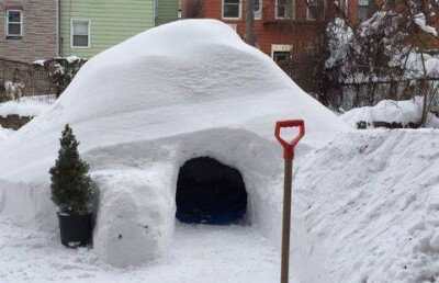 Американец построил иглу у себя во дворе и хотел сдавать его в аренду