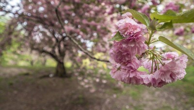 Прогноз погоды на 16 марта: почти на всей территории Казахстана будет без осадков