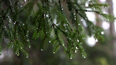 Осадки обещают синоптики на 22 сентября