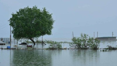 В Мактааральском районе Туркестанской области затопило четыре села, 620 домов пострадали