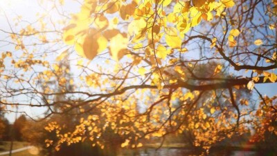 Прогноз погоды на 3 октября: ветер и туман ожидаются на большей части территории Казахстана