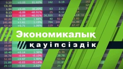 Экономикалық қауіпсіздік туралы бірер сөз