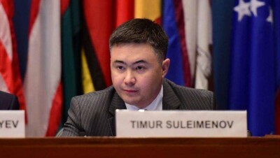 Тимур Сулейменов призвал не политизировать ситуацию на границе с Кыргызстаном