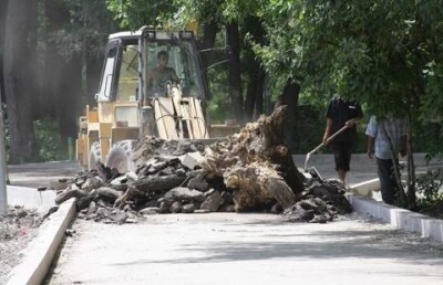 Парк некультурного отдыха