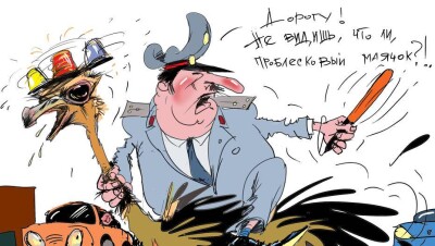 Бегал ли страус по "зебре"?