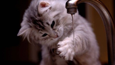 Десять тысяч сельчан в Павлодарской области неделю живут без воды