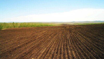 Коррупция в сфере земельных отношений увеличилась вдвое
