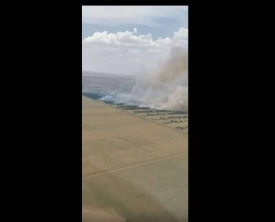 В Павлодарской области из-за грозового разряда загорелся лес. Площадь пожара – 100 га