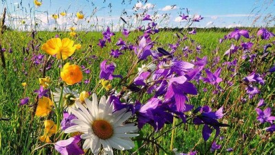 Прогноз погоды на 17 июля: жара и ветер ожидаются на большей части территории Казахстана