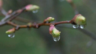 Прогноз погоды на 1 апреля: на большей части Казахстана ожидаются осадки и сильный ветер