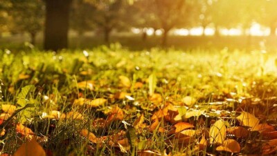 Прогноз погоды на 15 сентября: тепло и сухо будет на большей части территории Казахстана