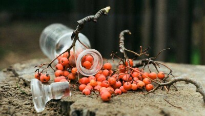 Число жертв в Иркутске превысило 40 человек 