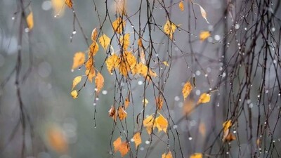 Заморозки и осадки обещают синоптики 23 сентября в Казахстане