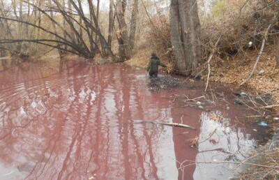 Экологи раскрыли тайну "кровавого болота" в Усть-Каменогорске