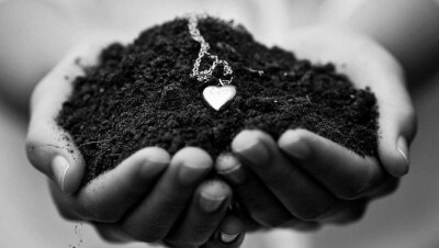 В США узаконили превращение человеческих останков в компост