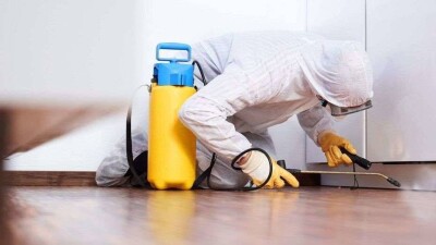 Смерть после травли клопов в Мангистау: дезсредство не было предназначено для квартиры