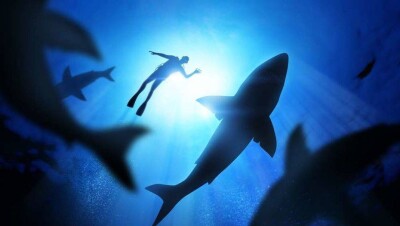 Учёные создали материал для гидрокостюмов, защищающий от укусов акул