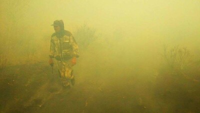Лесные пожары в Акмолинской и Костанайской областях тушат с вертолёта и эвакуируют сельчан
