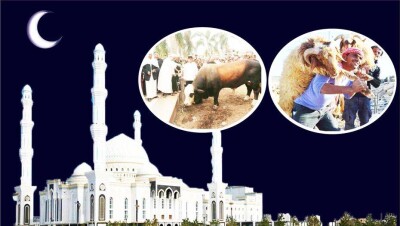 Құрбандыққа малды қайдан алып, қалай шалған дұрыс?