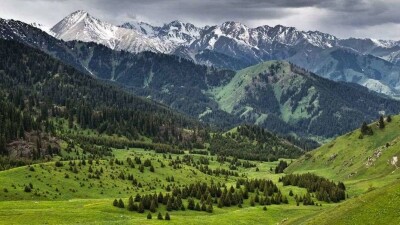 Экоактивисты: Необходимо отменить все постановления, где упоминается курорт Кокжайлау