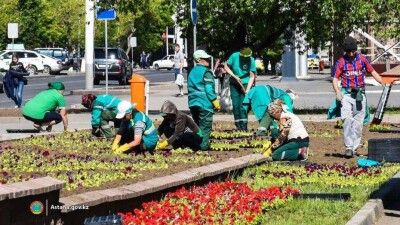Рекордное количество цветов высадят в Нур-Султане до конца мая