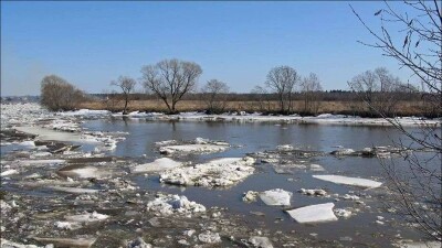 Паводковая ситуация в Кызылординской области стабилизировалась