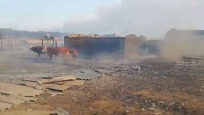 В ЗКО из-за лесного пожара загорелось село. К тушению привлекли вертолёт