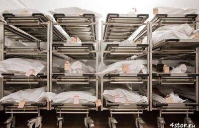 Пьяных водителей заставят любоваться на мертвецов