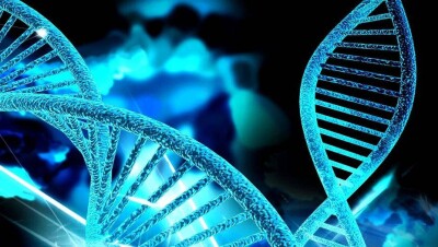 Редактировать геном эмбриона разрешили в США