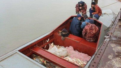 Прокурор Атырауской области написал резкую отповедь защитникам браконьеров
