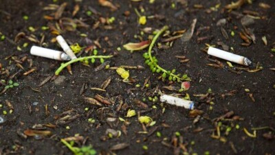 Жительница Астаны получила двое суток ареста за повторно брошенный окурок