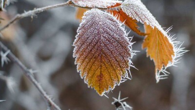 Прогноз погоды на 9 ноября: в Казахстане местами ожидаются осадки, метель и гололёд