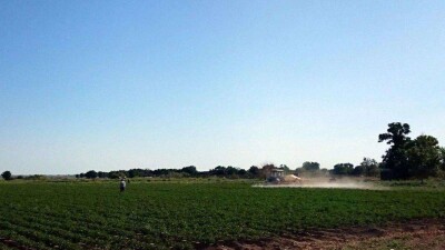 16 000 га участков, выданных под ИЖС и для сельхозугодий, вернули в земфонд Алматинской области