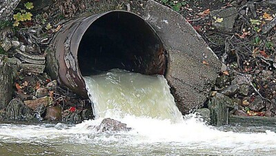 Пруд в Алматинской области, в котором погибли две тонны рыбы, очистили 